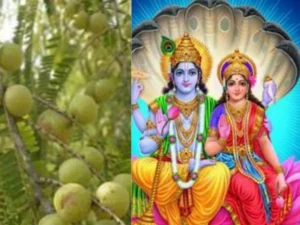 Amalaki Ekadashi, आमलकी एकादशी पर करें आँवलें के पेड़ की पूजा 1