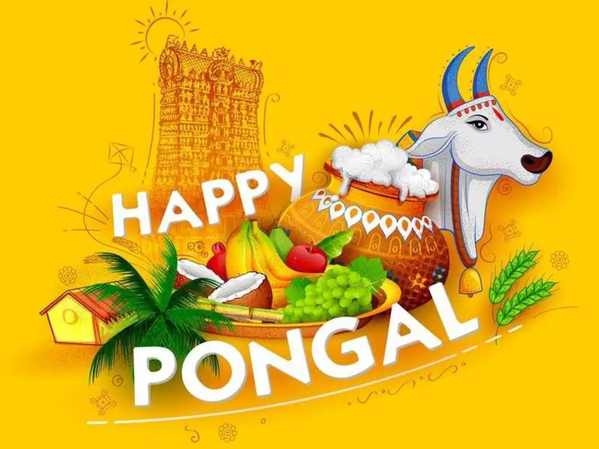 Pongal 2025: A Celebration of Harvest, Gratitude, and Prosperity