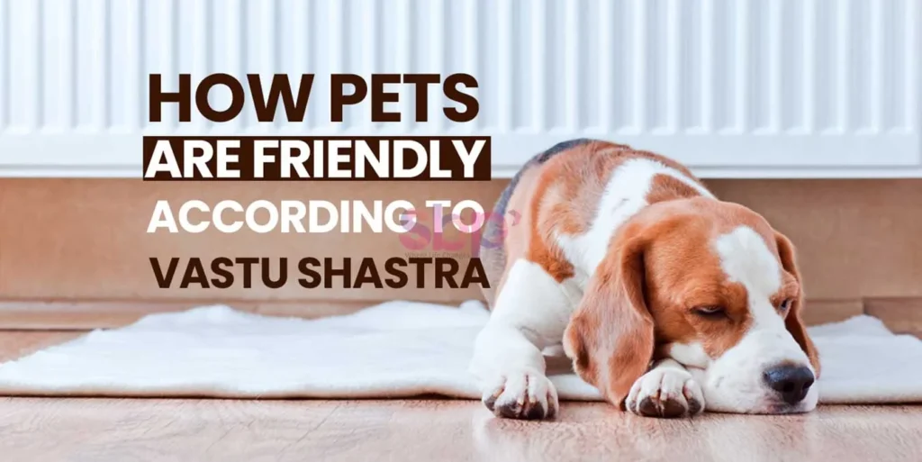 Vastu for Pet-Friendly Homes in 2025