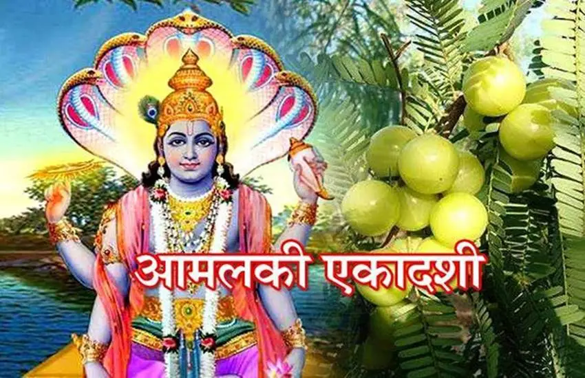 Amalaki Ekadashi 10th March 2025: Significance, Rituals, and Auspicious Results