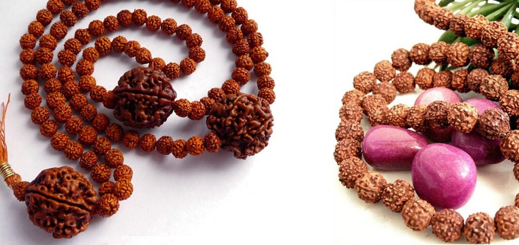 Unlock Financial Stability with Rudraksha