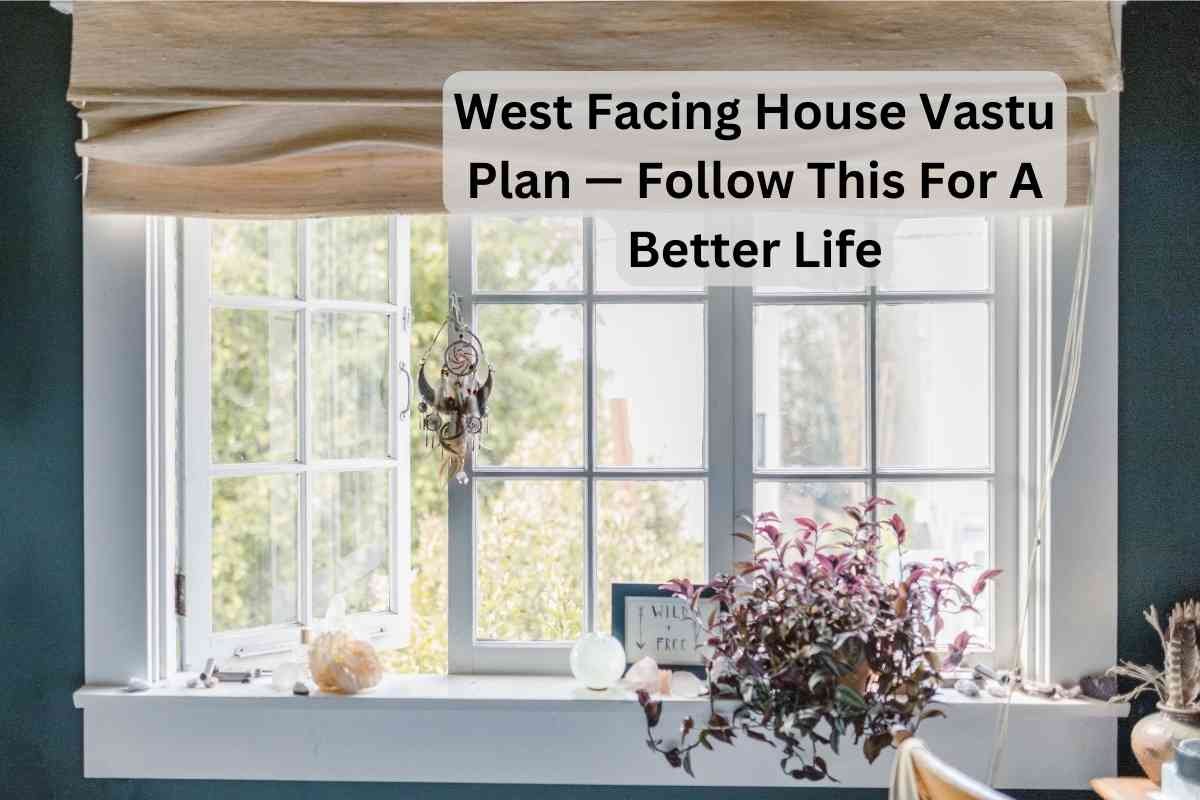 Which Direction Should Your House Face? The Vastu Answer You Need!